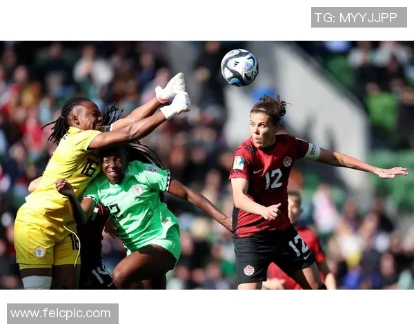 乌克兰与尼日尼亚的激战分析及未来发展展望